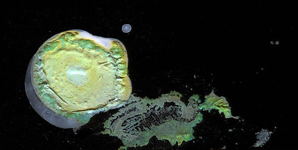 Rhonda Holberton Nebula-XVI