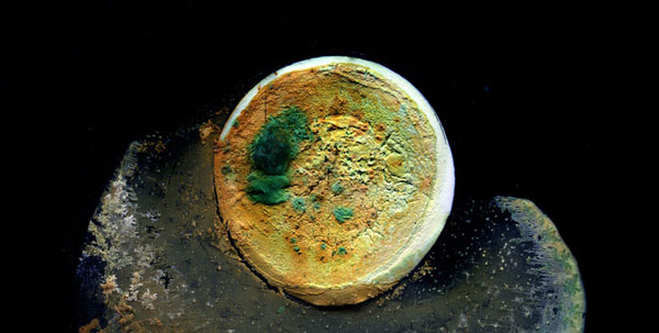 Rhonda Holberton Nebula_XXIII