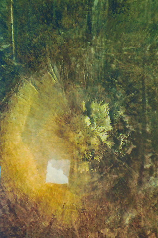 Rhonda Holberton Long Exposure: Gaurdian1980_1981
