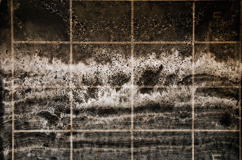 Rhonda Holberton Particulate Field I