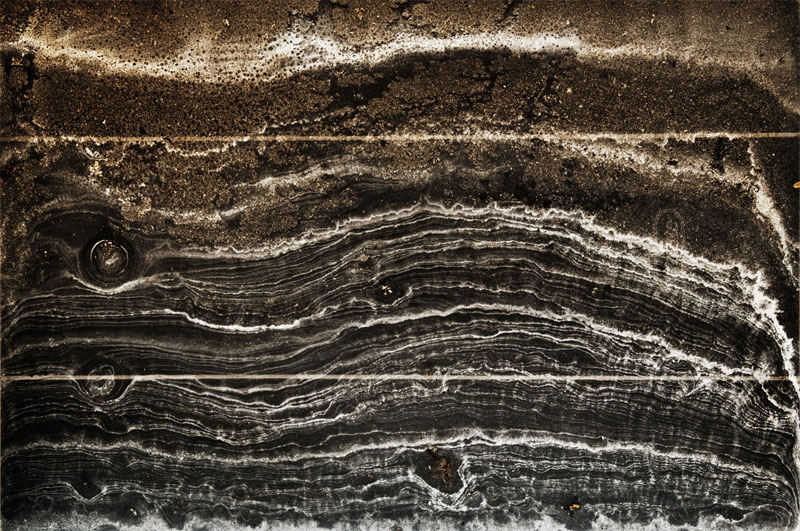 Rhonda Holberton Particulate Field II
