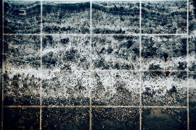 Rhonda Holberton Particulate Field III
